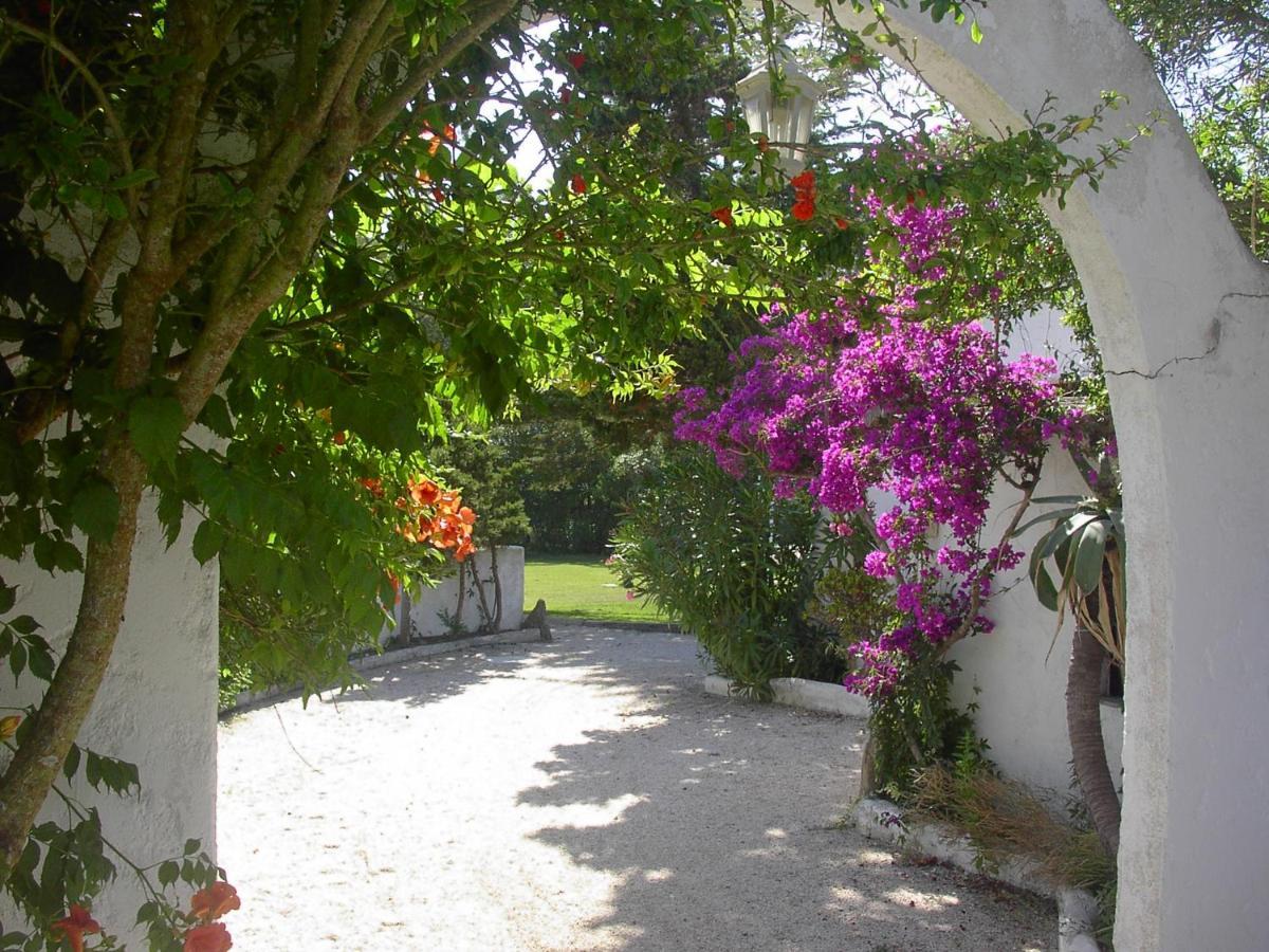 Hotel Rural A Coutada - Peniche Atouguia Da Baleia Εξωτερικό φωτογραφία